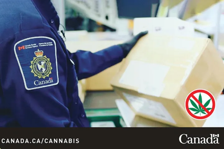 هشدار آژانس خدمات مرزی کانادا: انتقال ماری‌جوانا از مرز قانونی نیست